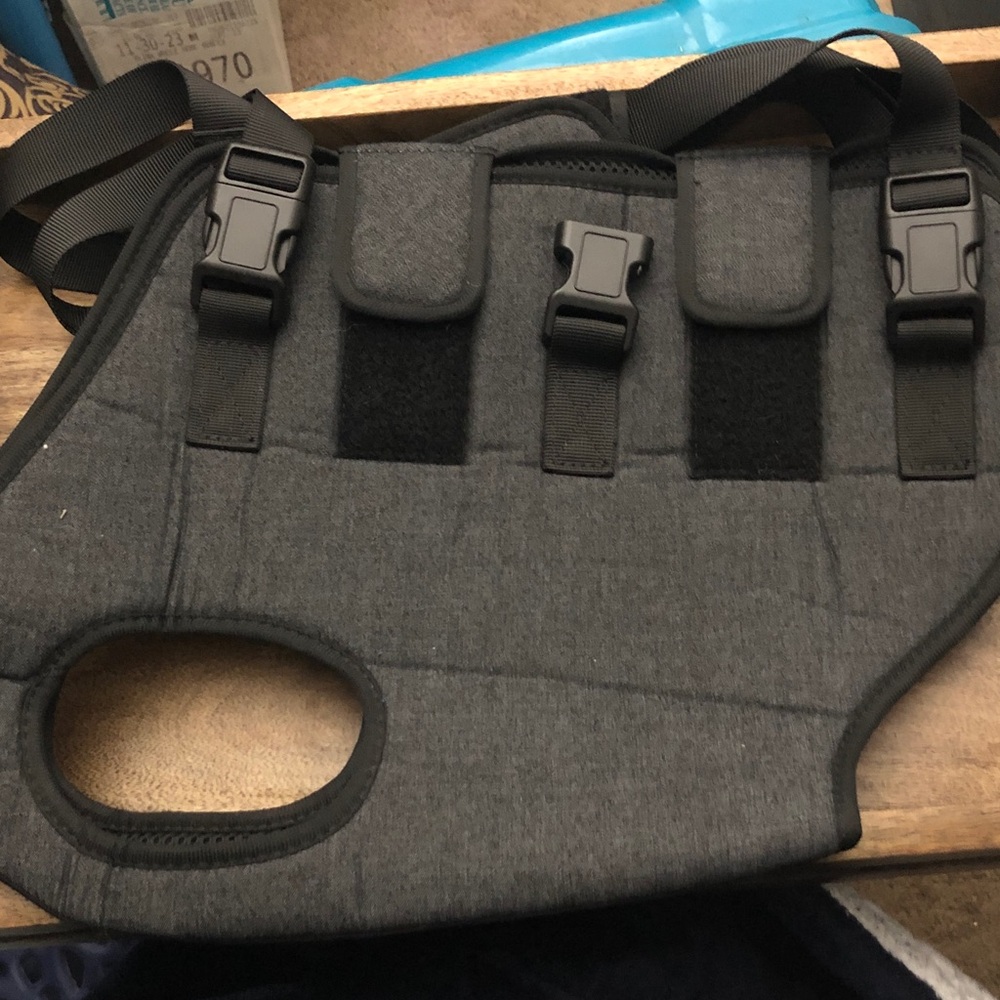 Gray Dog Seat Carrier with Secure Buckle Straps